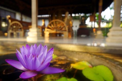 巴厘阿纳普尔纳别墅酒店(Villa Annapurna Bali)