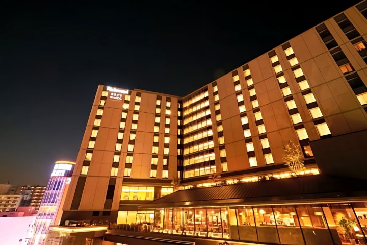 里士满浅草国际酒店(Richmond Hotel Premier Asakusa International)
