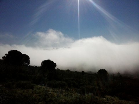 Finca Between the Mountain and the Beaches of Huelva