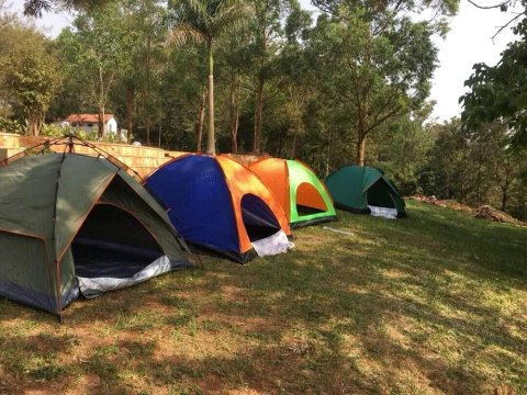 尼罗公园酒店 - 营地(Nile Park - Campsite)