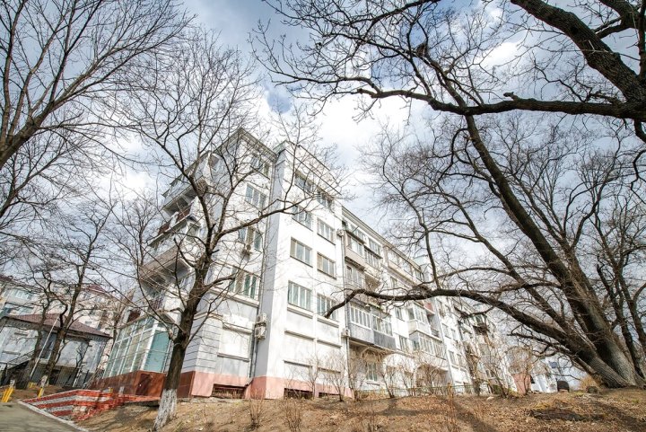 斯维特兰斯卡雅86号公寓(Apartment on Svetlanskaya 86)