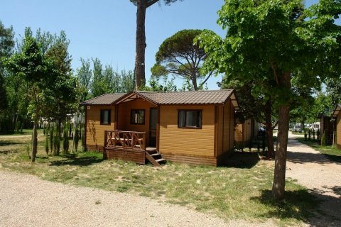 Aranjuez国际露营地(Camping Internacional de Aranjuez)