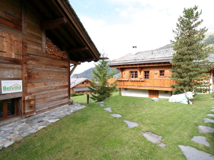 Comfortable and Luxurious Chalet With View on the Mont Blanc