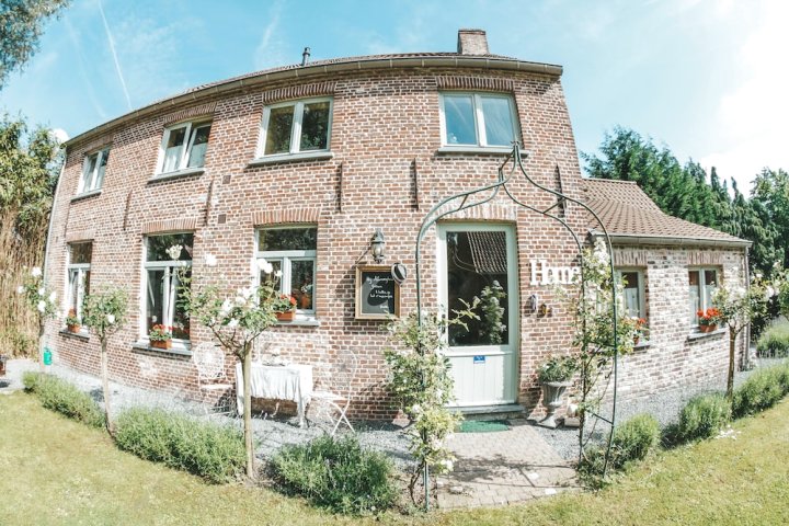 B&B Hoeve Westdijk