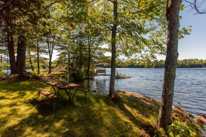 Magic on Little Go Home~3 Bedroom Cottage + Guest Cabin on 980 ft Shore!