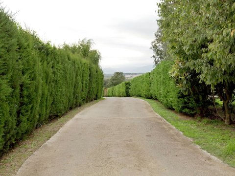 A Farmhouse Surrounded by Woods and Not Far from The Costa Brava Beaches