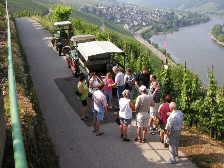 Ferienweingut Hirschen Schulstraße