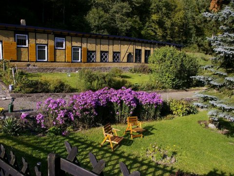 Idyllic Studio Near the Forest