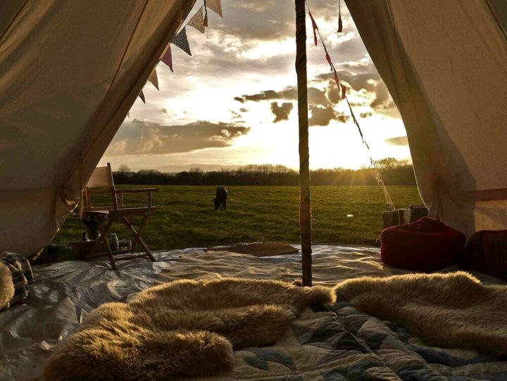 Mellow Yellow Bell Tent - Family Zone