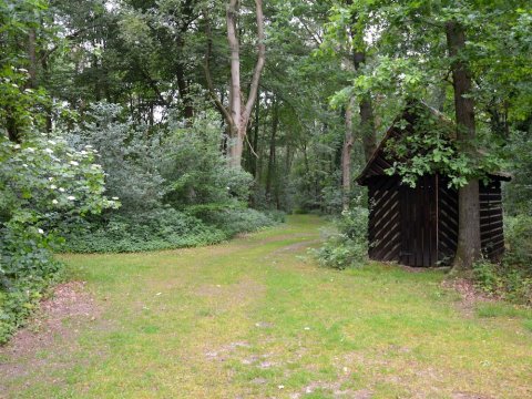 Charming Holiday Home in Hellendoorn Amidst the Forest