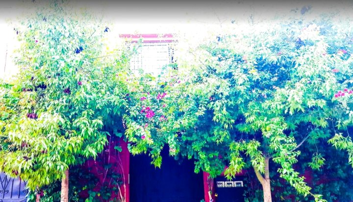 马拉卡治 1 居公寓酒店 - 附专属花园及无线上网(One Bedroom Appartement with Enclosed Garden and Wifi at Marrakech)