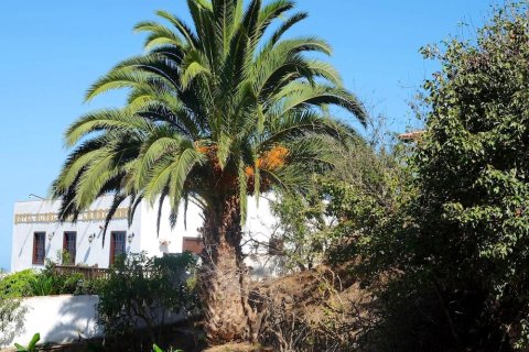 Apartment with One Bedroom in Los Silos, with Furnished Terrace and Wifi - Near the Beach