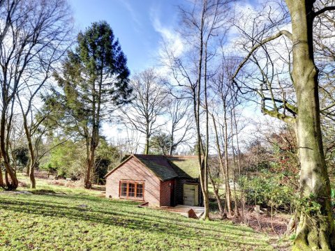 Quaint Holiday Home in Hartfield for Couples Near City Center