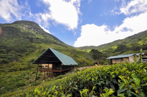 狂野华丽露营酒店(Wild Glamping Knuckles)