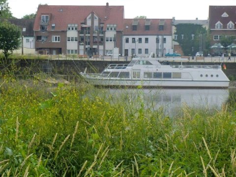 Ferienwohnung Rosenflair