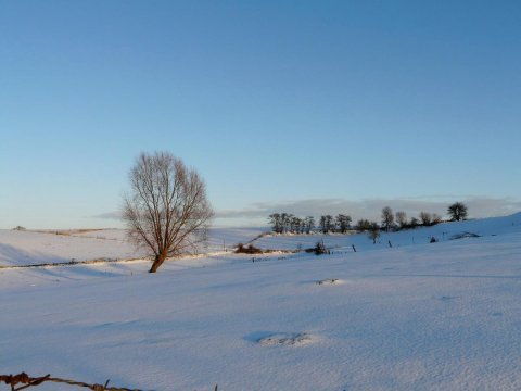 Holiday Home l'Aubépine