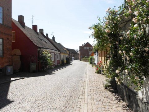 隆德联排别墅公寓(Townhouse Lund)