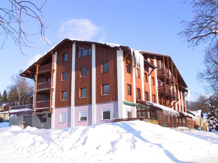 Apartement Hrebenka