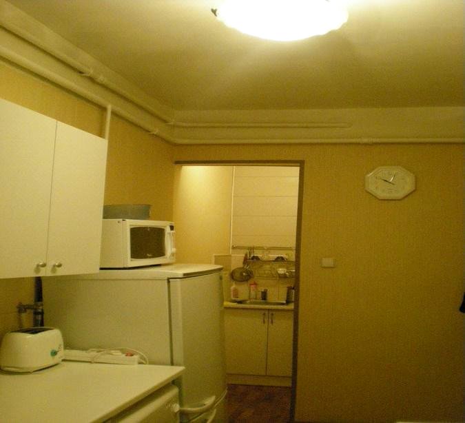 Apartment on Rubinshteyna 7