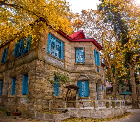 庐山青云阁别墅客栈