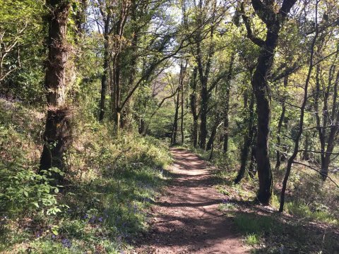 An ti Bihan, Gite Breton à la campagne