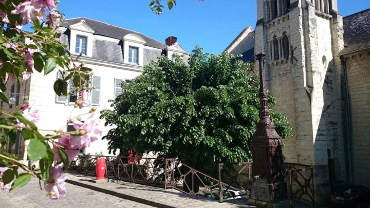 自然与城堡公寓(Nature & Chateaux)