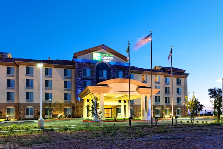 弗雷斯诺西北部智选假日酒店 - 赫恩登(Holiday Inn Express Fresno Northwest - Herndon, an IHG Hotel)