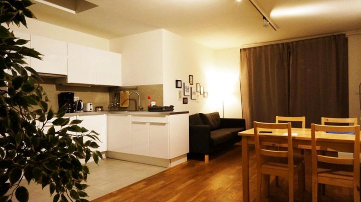 Suite Prague Apartment -Duplex, up to 4People