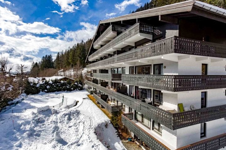 L' Androsace Apartment - Chamonix All Year