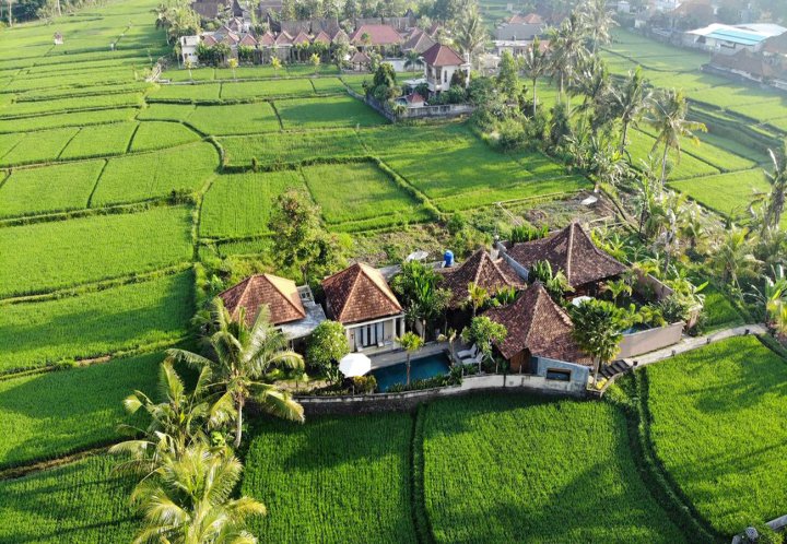 巴厘岛乌布普里兰杜别墅(Puri Landu Ubud Villa Bali)