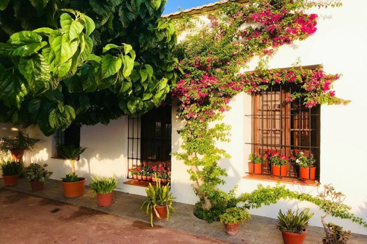 Casa Rural la Morera