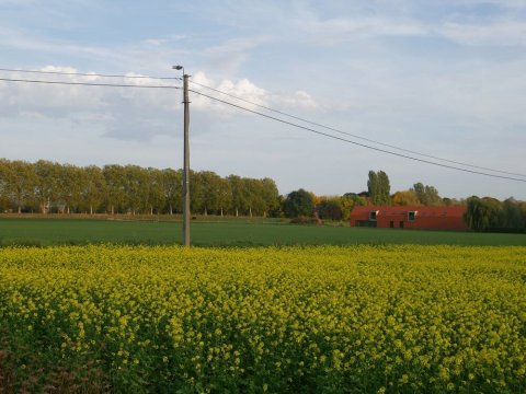 Countryside Delight, a Drive Away from Brugges, Lille and Ghent