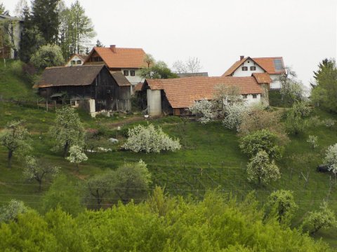 Biohof/Gästezimmer Adam