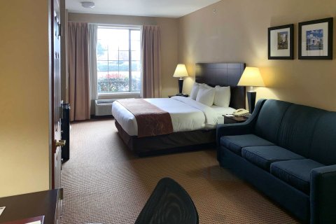 罗阿诺克-北沃斯堡全套房舒适酒店(Comfort Suites Roanoke - Fort Worth North)