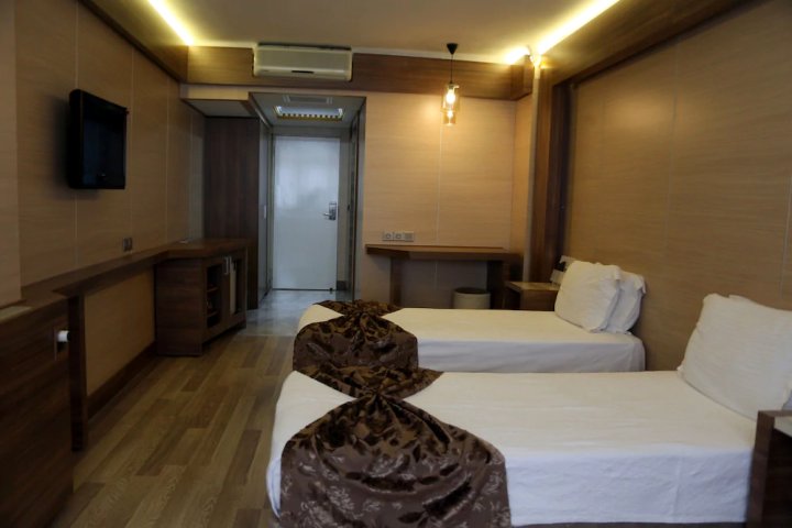 巴斯马休格鲁酒店 - 特级(Basmacioglu Hotel - Special Class)