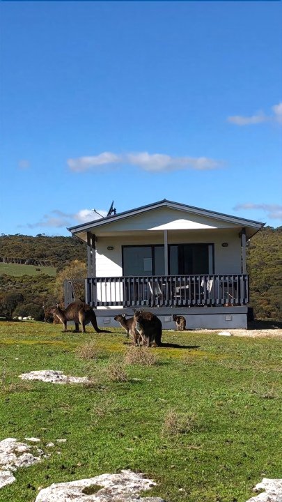 袋鼠岛海浪野生小屋(Waves & Wildlife Cottages Kangaroo Island)