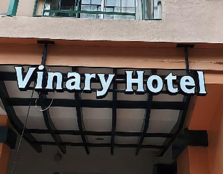 韦纳瑞酒店(Vinary Hotel)