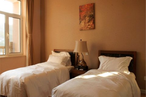 丹东天桥沟枫叶会馆公寓(3号店)