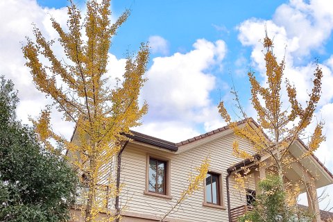 武夷山沐茗尔来别墅