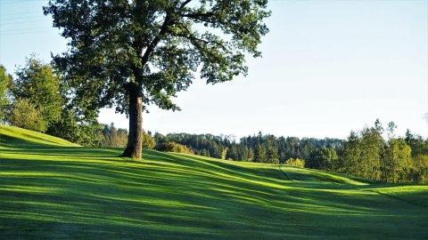 安妮塞德高尔夫乡村酒店(Golf- Und Landhotel Anetseder)