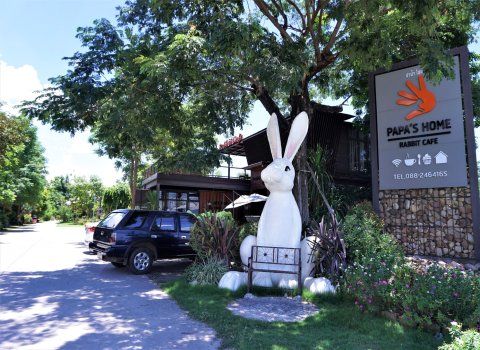 爸爸之家及兔子咖啡厅(Papa's Home and Rabbit Cafe)