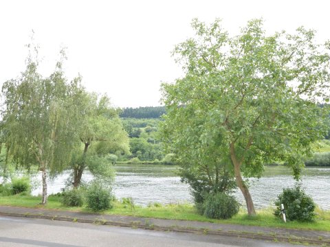 Characteristic, Comfortable Holiday Home with Magnificent Views Across the Moselle River