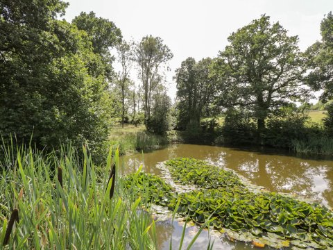 池塘景观酒店(Pond View)