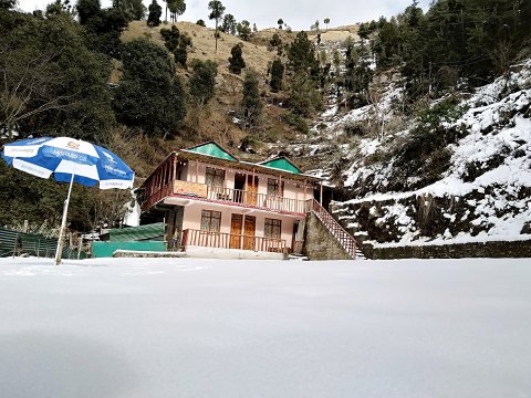 雪莲花民宿(Snow Drop Home Shimla)