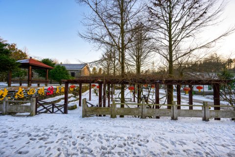 余姚四明山庄森林度假村