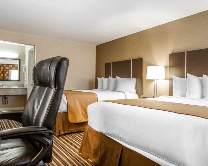 品质酒店及套房(Quality Inn & Suites)