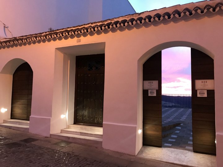 赞布拉广场别墅酒店(Casa Palacio VillaZambra)