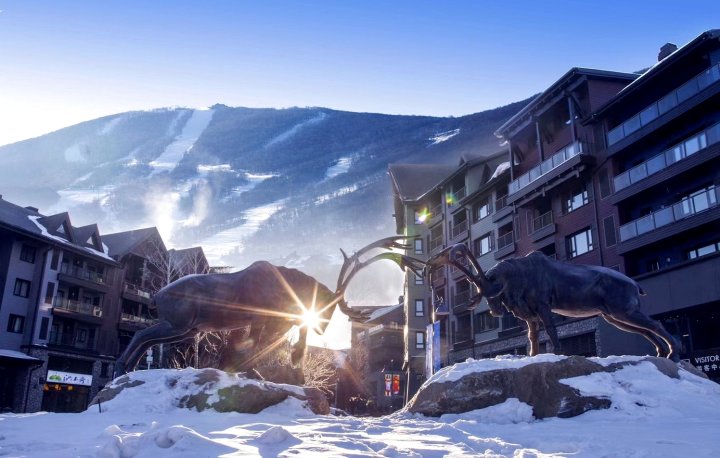 万科松花湖依雪居公寓