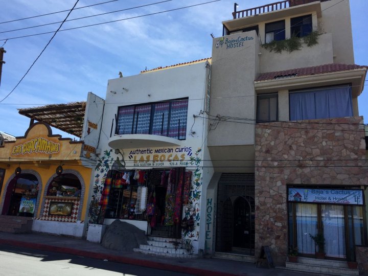 巴亚斯仙人掌青年旅舍(Baja's Cactus Hostel)