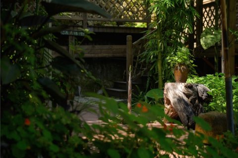 鼓浪屿画廊旅馆.世外桃源(内厝澳码头店)